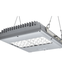 Đèn LED Highbay LHX2-24-50 Wolf Safety
