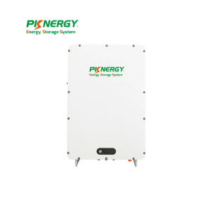 Pin Powerwall PK-48200P-S Pknergy