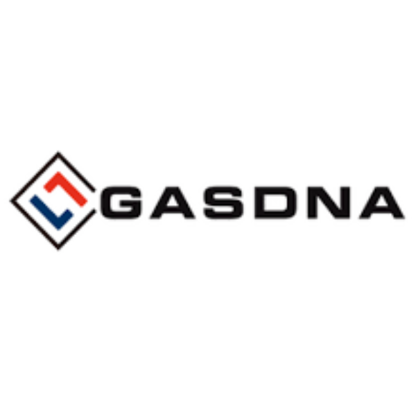 Đại lý Gasdna tại Việt Nam