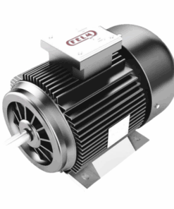 F2 200L2 B3 Motor Felm Vietnam