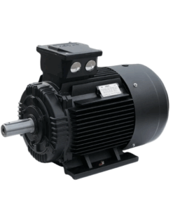 HMA3-100L1-4 Hoyer motor Vietnam