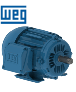 12676331 Motor WEG Vietnam