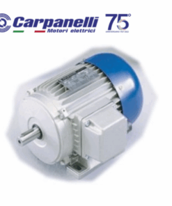 1921002J534 Động cơ Carpanelli MRE90Lb2