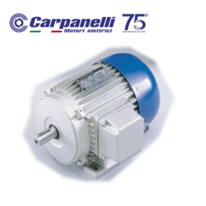1921002J534 Động cơ Carpanelli MRE90Lb2