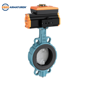 4620561 Valve EBRO ARMATUREN Vietnam