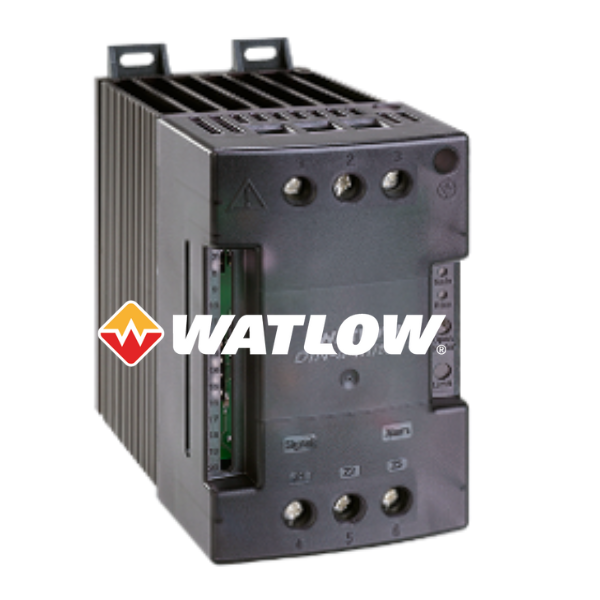 DC21-60F0-0000 Watlow