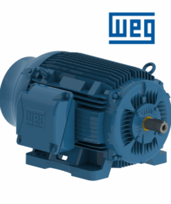 IEEE841 (W22) WEG Vietnam