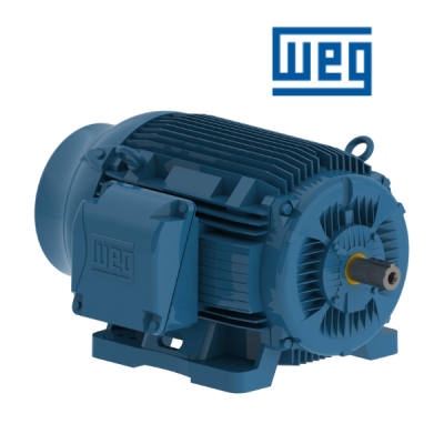 IEEE841 (W22) WEG Vietnam