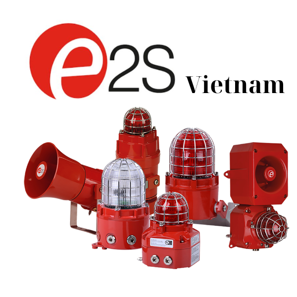 E2S Vietnam