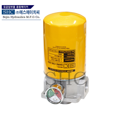 SH-TOP-2406-101