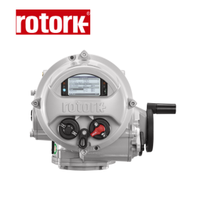 IQT250 F10