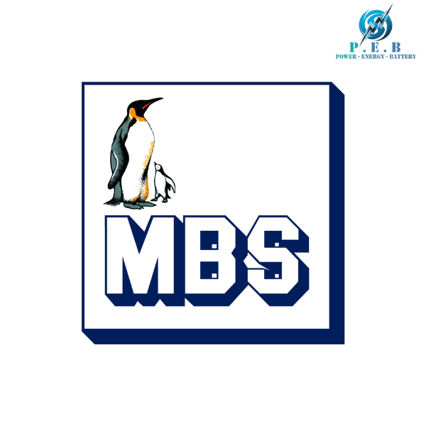 MBS AG Vietnam