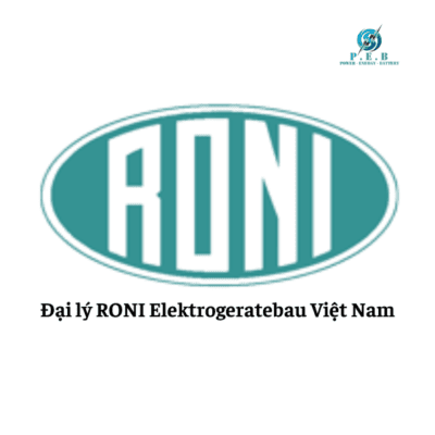 RONI VietNam